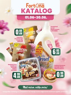 Fortuna katalog