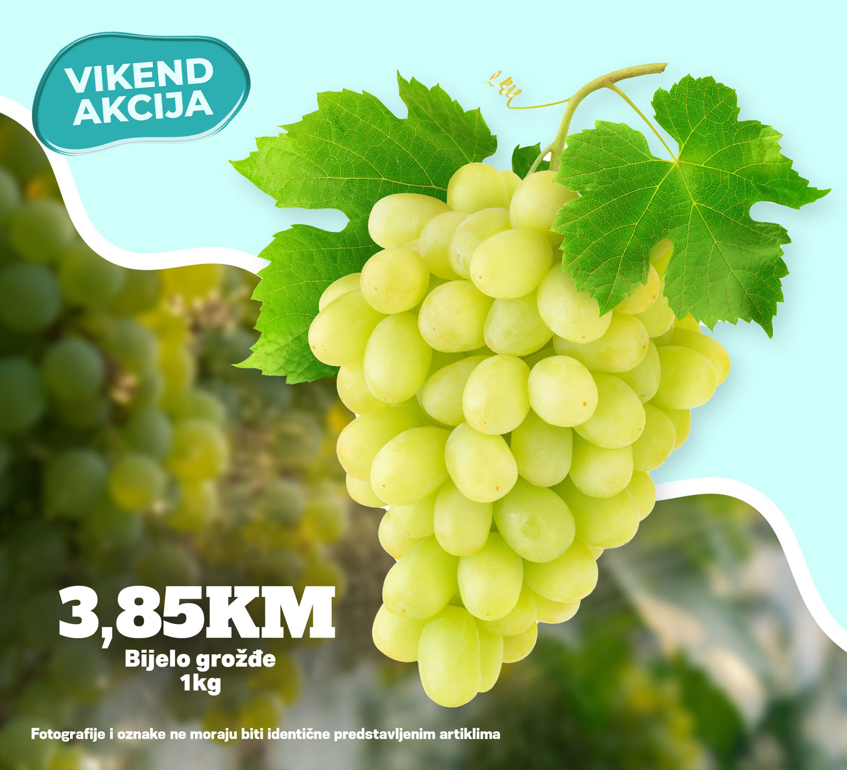 Fructa Trade - Kort Marketi