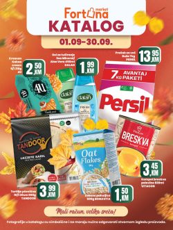 Fortuna katalog
