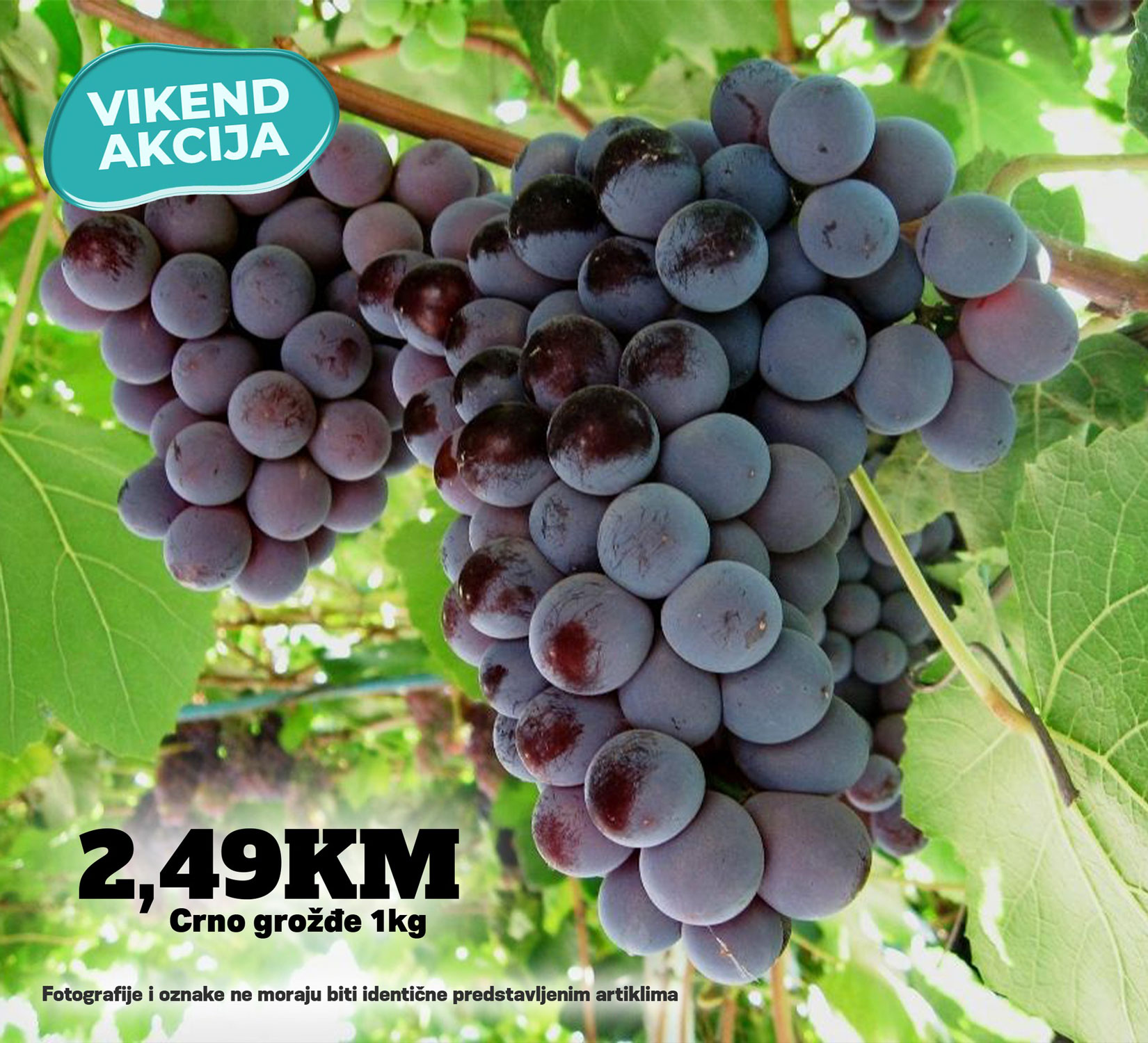 Fructa Trade - Kort Marketi